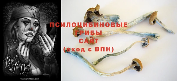 дурь Горняк