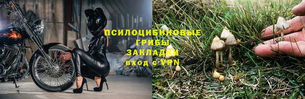 прущая мука Горнозаводск