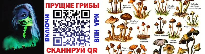 Псилоцибиновые грибы мухоморы  мега маркетплейс  Юрюзань 